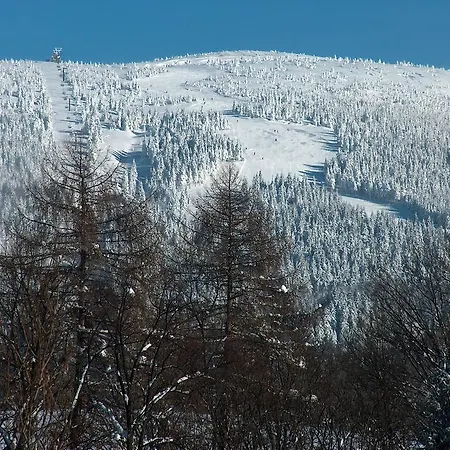 Helena Rokytnice nad Jizerou