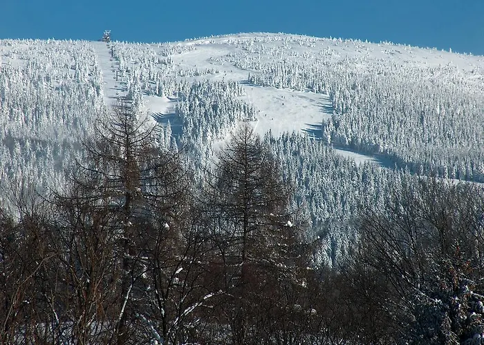 Helena Rokytnice nad Jizerou
